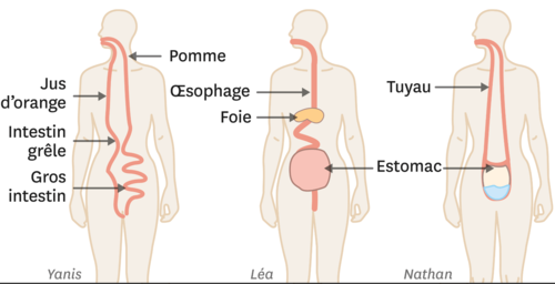 Pourquoi il est si important de comprendre comme vos apprenants voient le monde et comment faire ? 3 1627961518 821 Pourquoi il est si important de comprendre comme vos apprenants — Blog pourquoi,apprenants,monde,comment,faire,expérience,marteau,clou